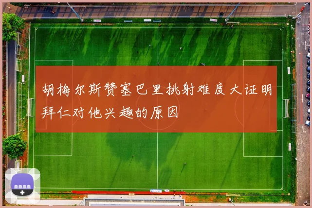 胡梅尔斯赞塞巴里挑射难度大证明拜仁对他兴趣的原因